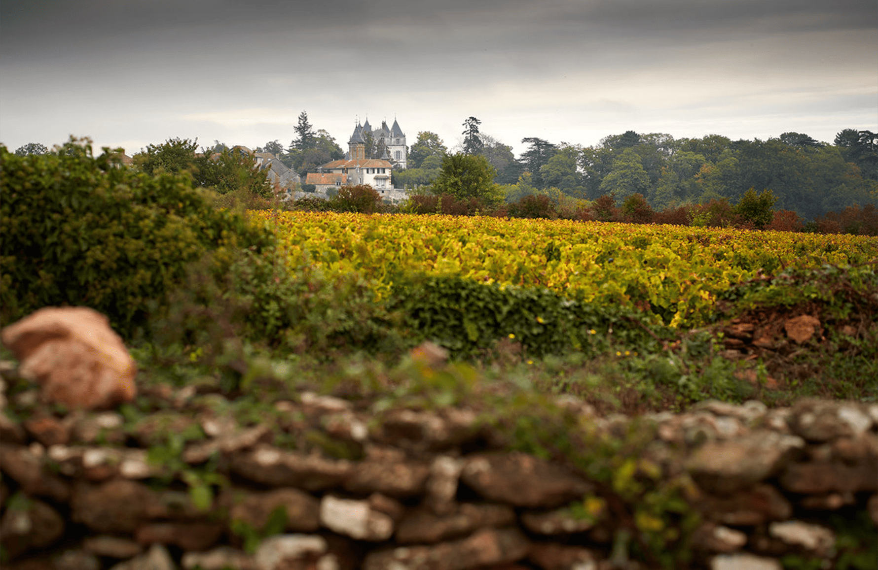 Château de Chamirey
