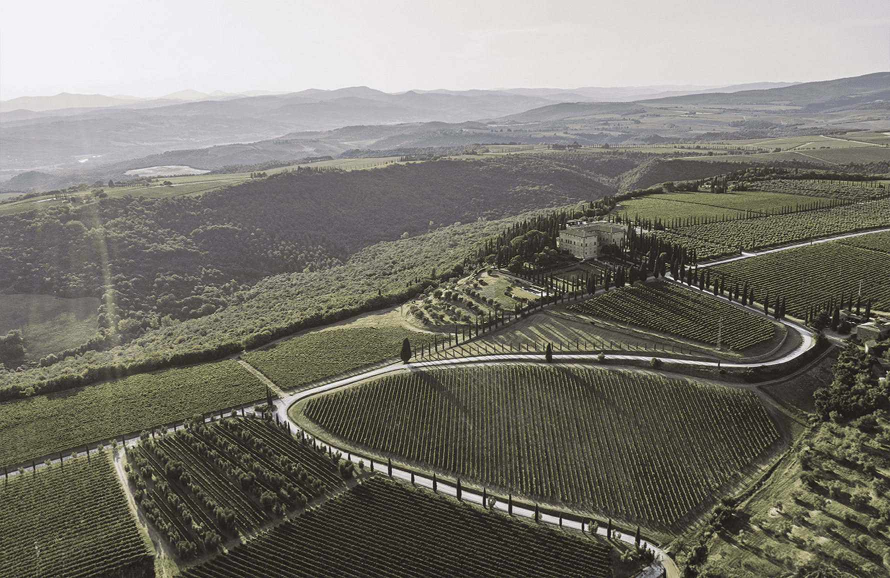 Vins Argiano - Italie