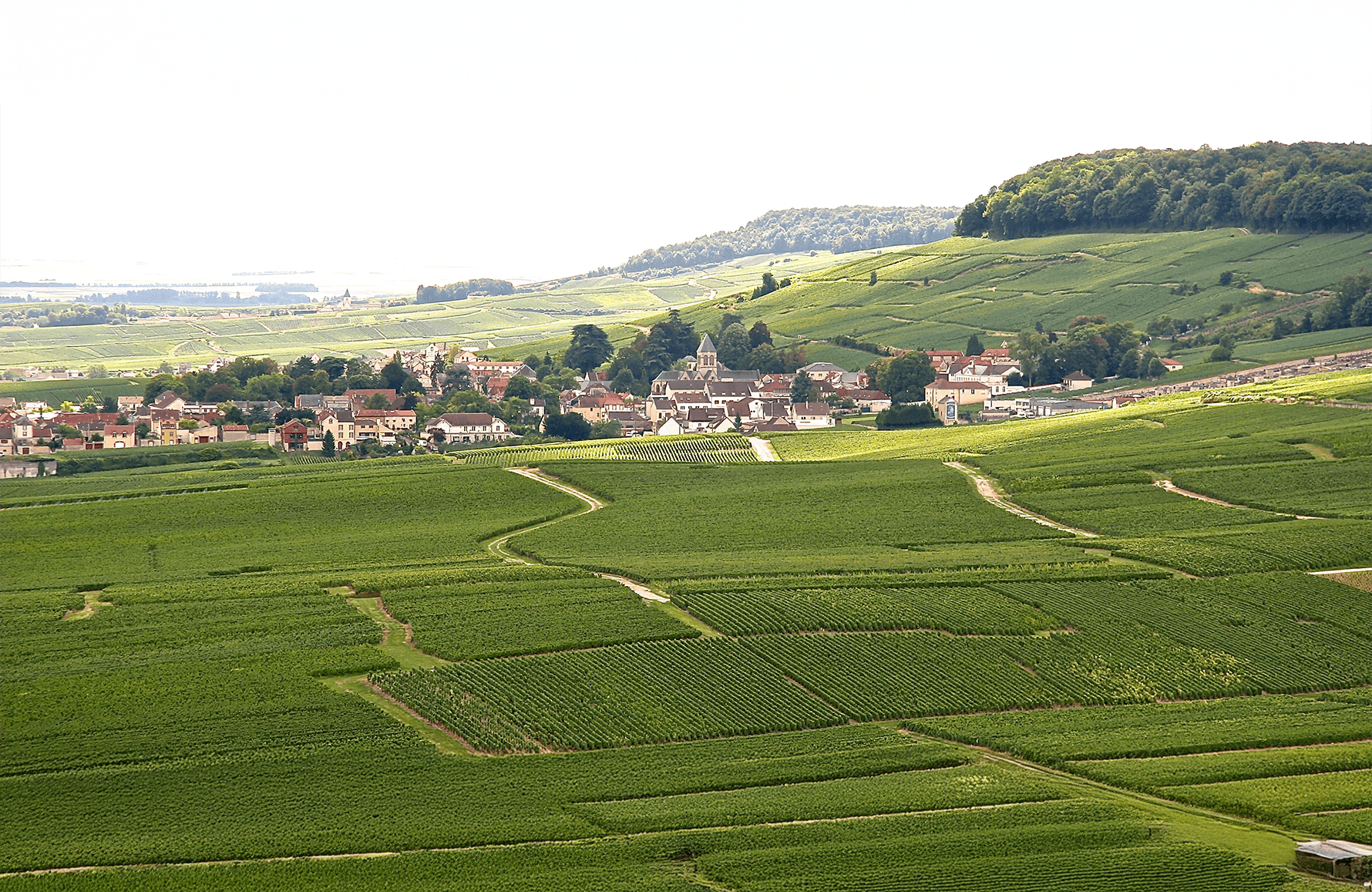 Vins Champagne De Sousa