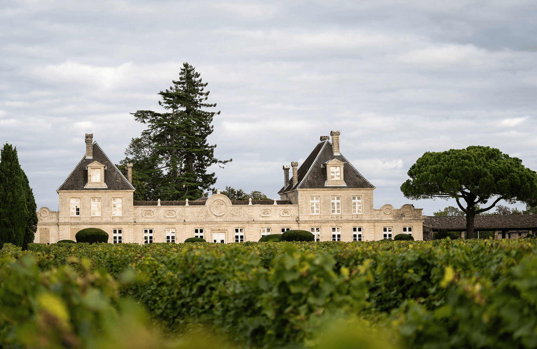 Vins Château de Cérons