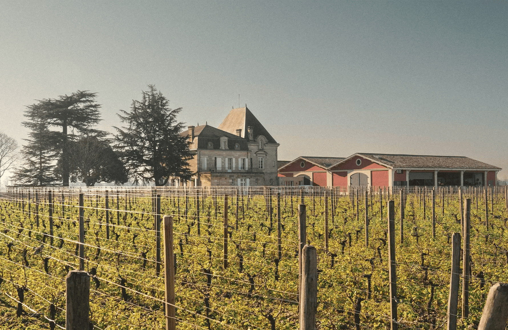 Wines Château L'Evangile