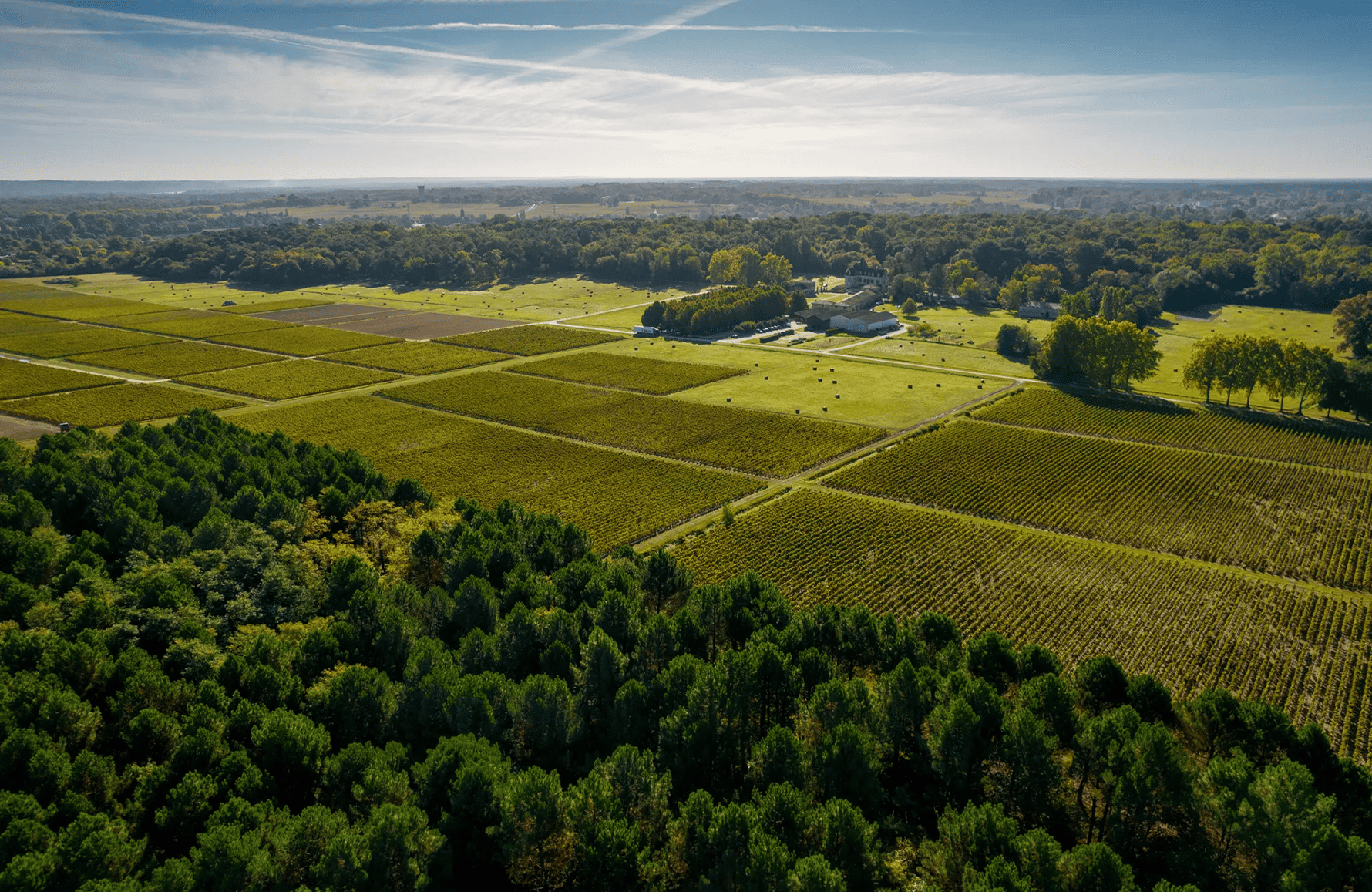 Vins Château Olivier