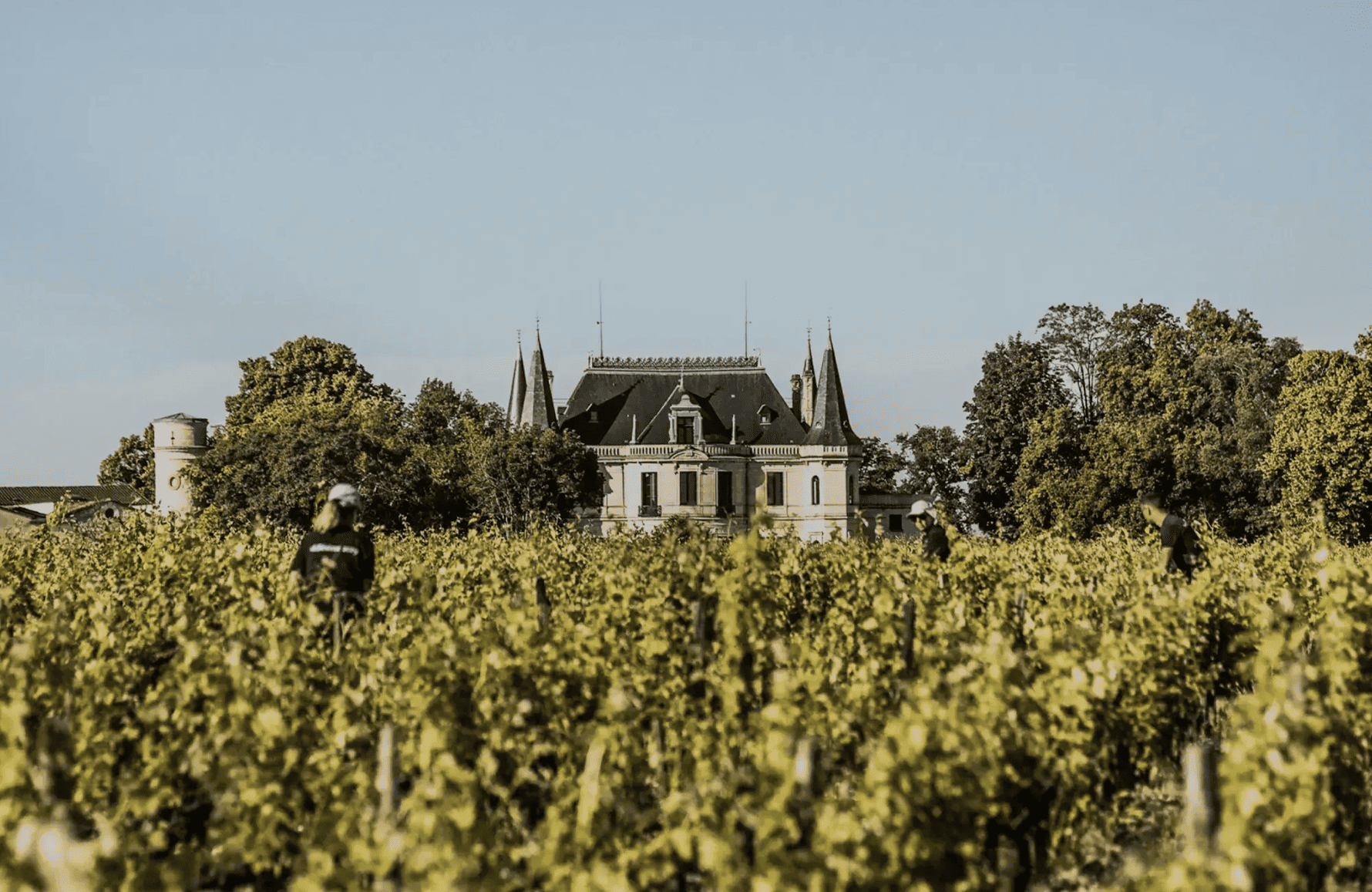 Vins Château Palmer