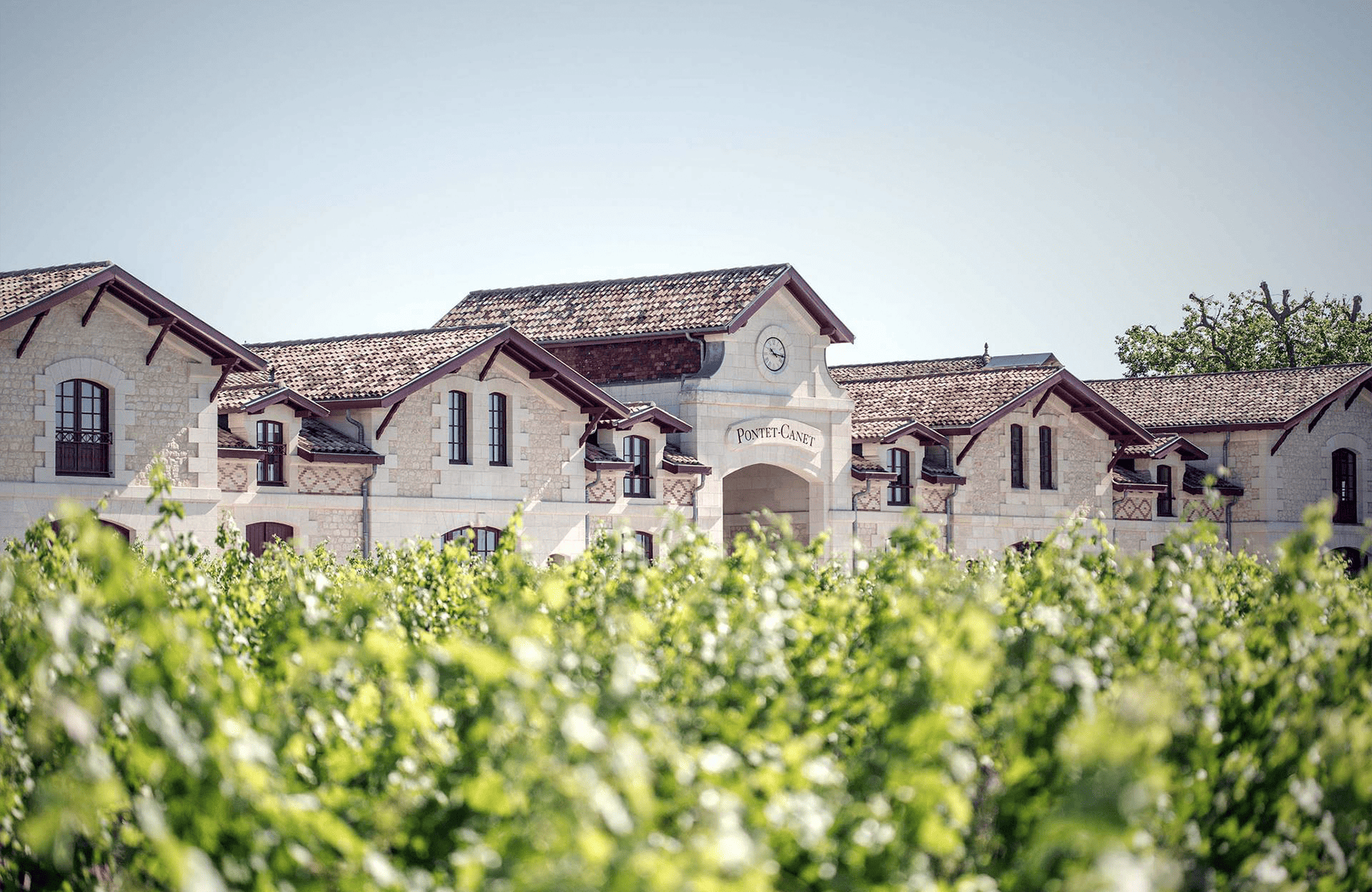 Vins Château Pontet-Canet