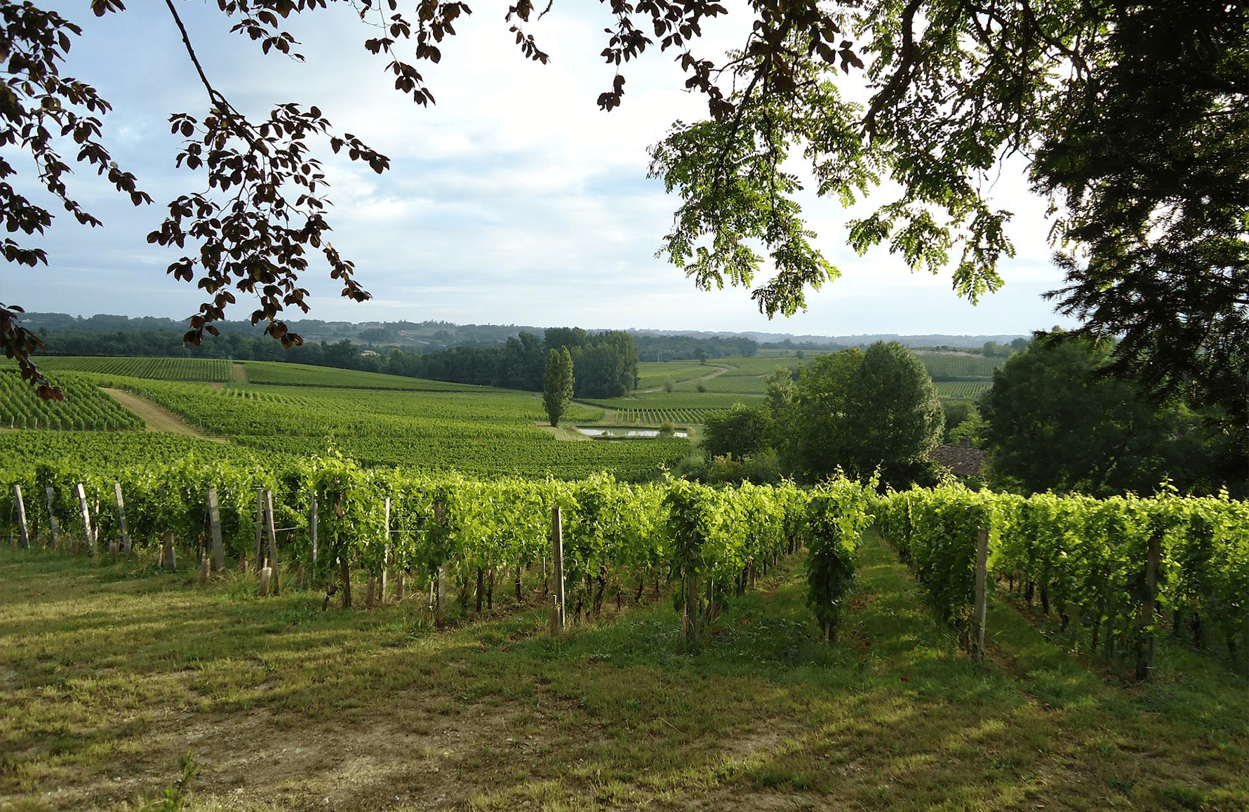 Vins Château Valandraud