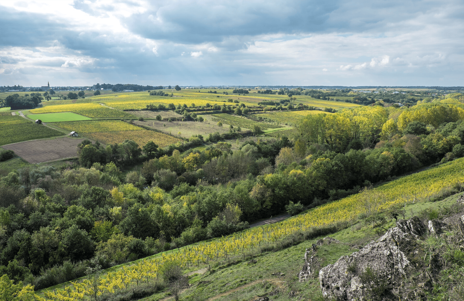 Vins Domaine Belargus