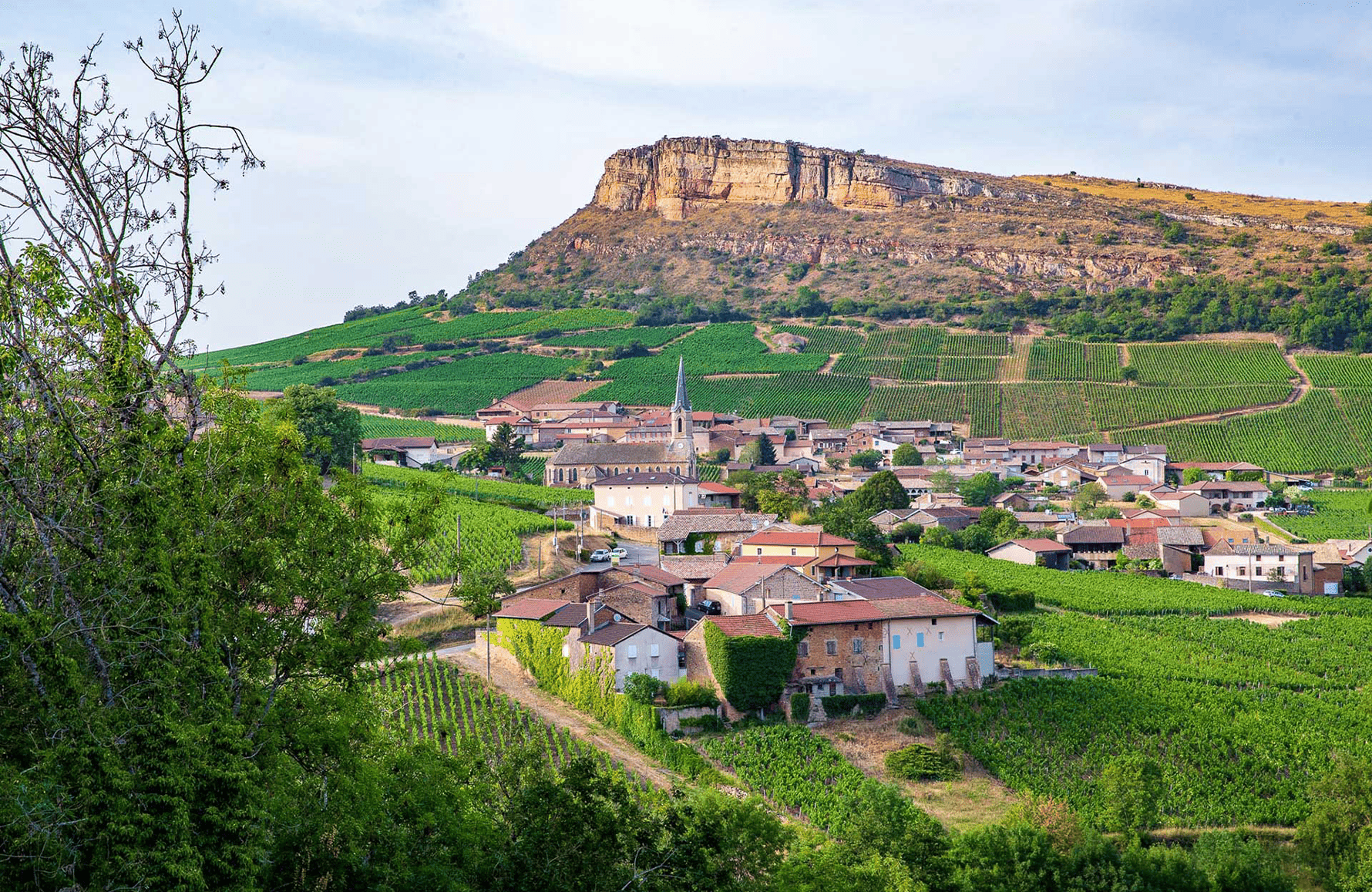 Vins Domaine Guffens-Heynen