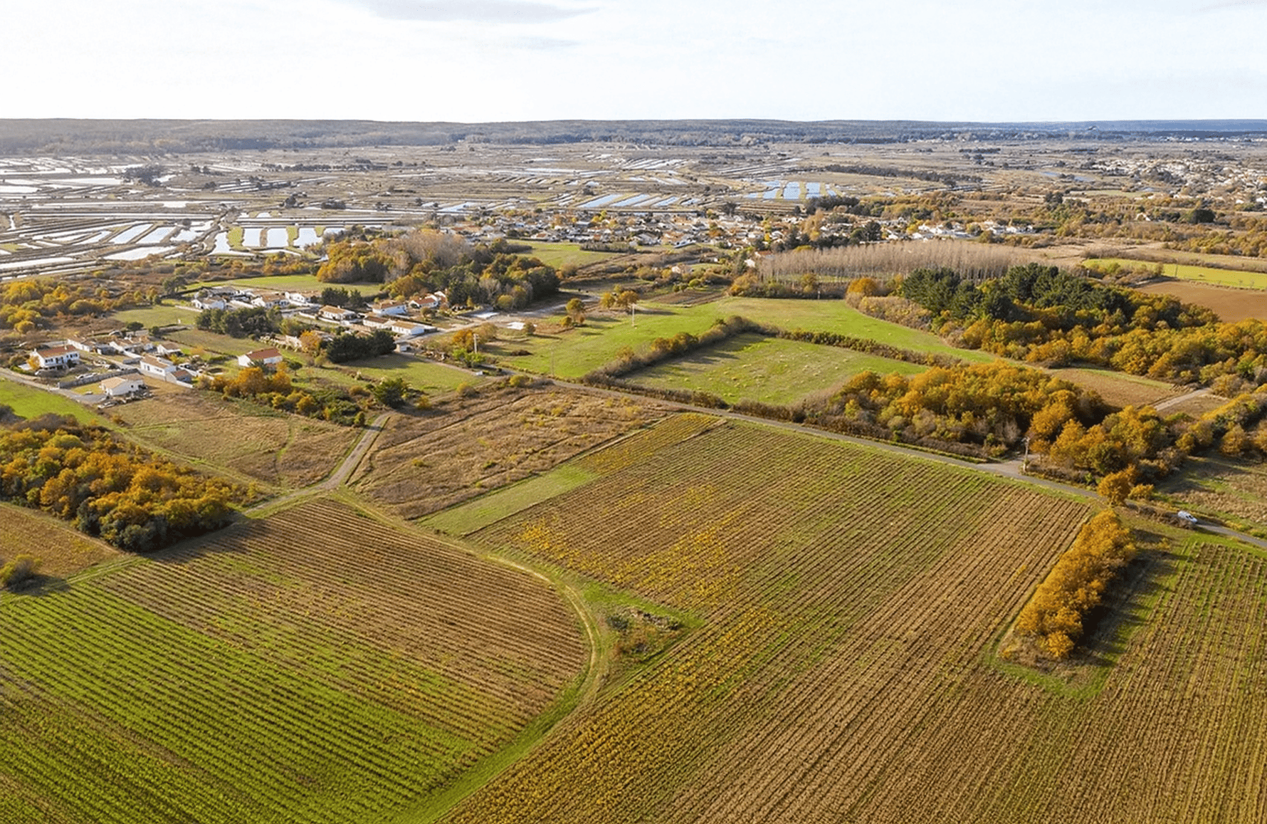 the story of Domaine Saint-Nicolas