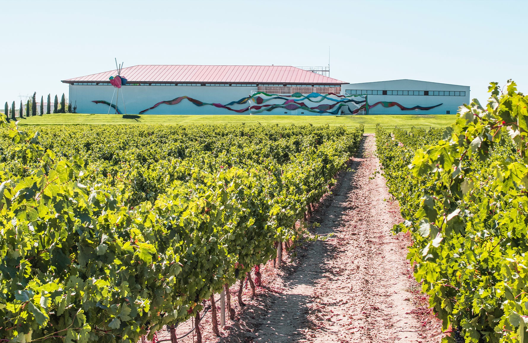 Vins Dominio de Pingus - Espagne