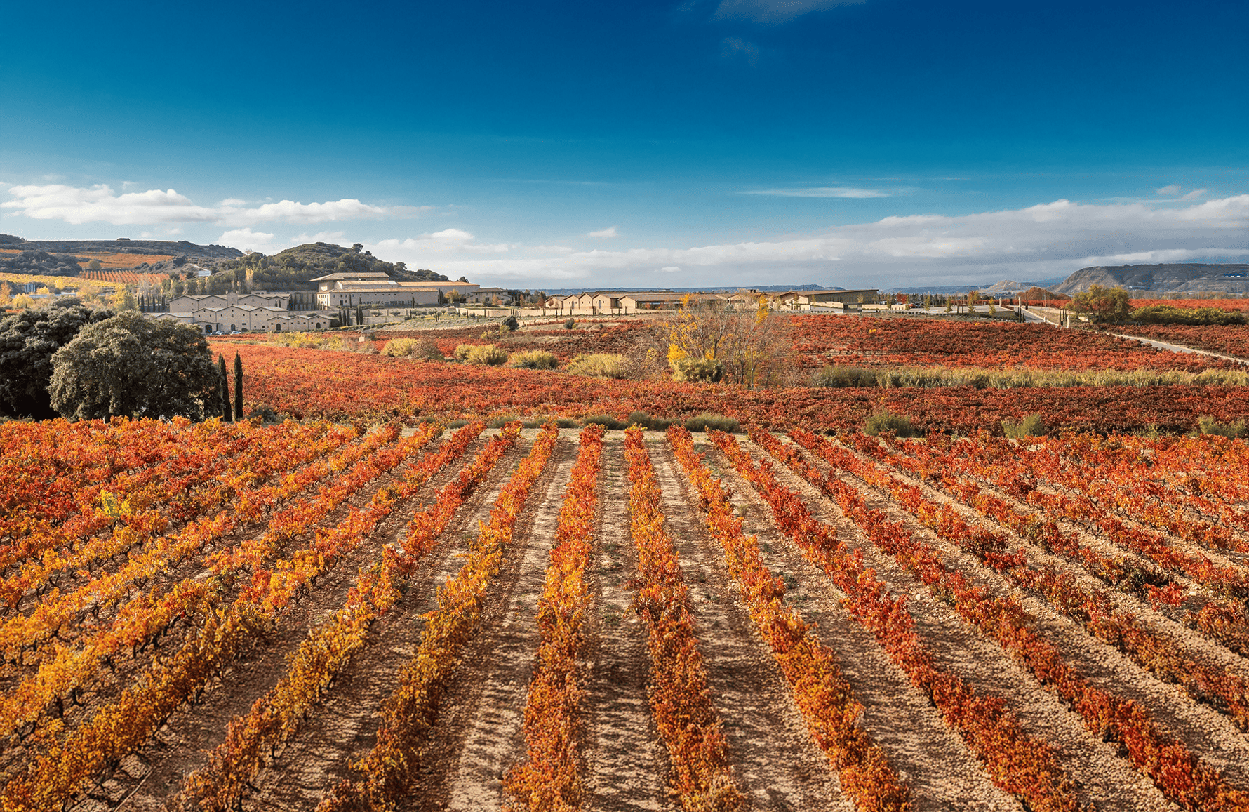 Vins Marques de Murrieta - Espagne