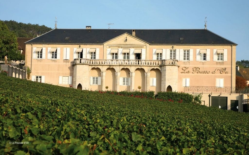 Le Domaine de la Pousse dor (Bourgogne) vu depuis les vignes