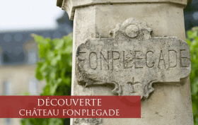 Partons à la découverte du Grand Cru Classé Château Fonplégade