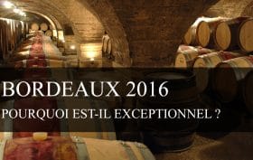 Pourquoi le Bordeaux 2016 est-il exceptionnel ?