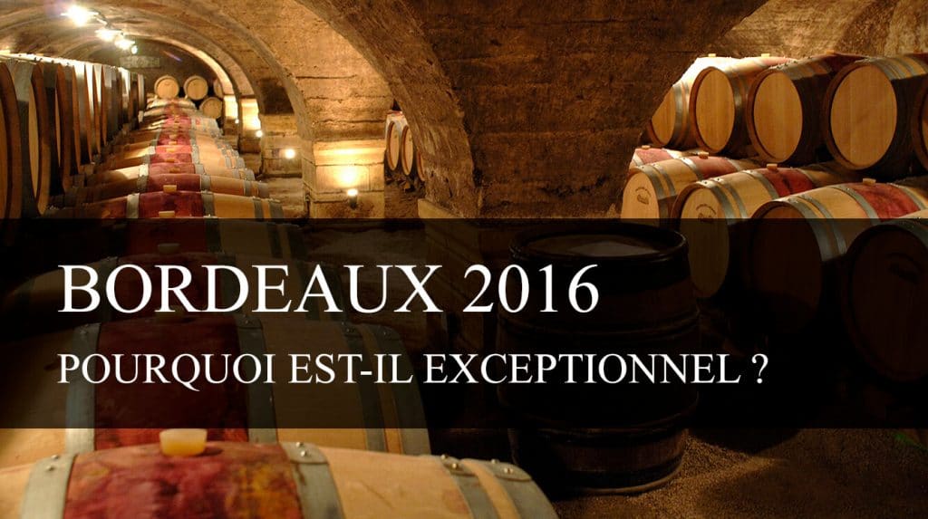 Pourquoi le Bordeaux 2016 est-il exceptionnel ?