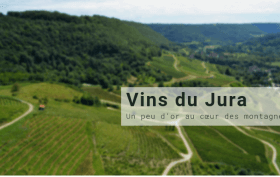 vins-du-jura-un-peu-d-or-au-coeur-des-montagnes (1)