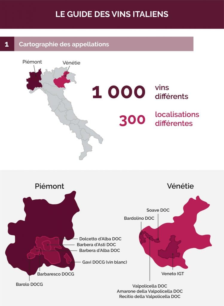 Infographie Cavissima - Guide des vins italliens