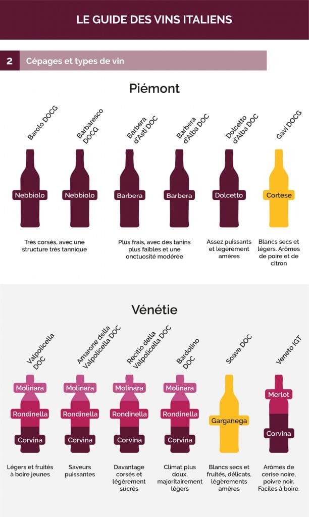 Infographie 2 Cavissima - Guide des vins italliens