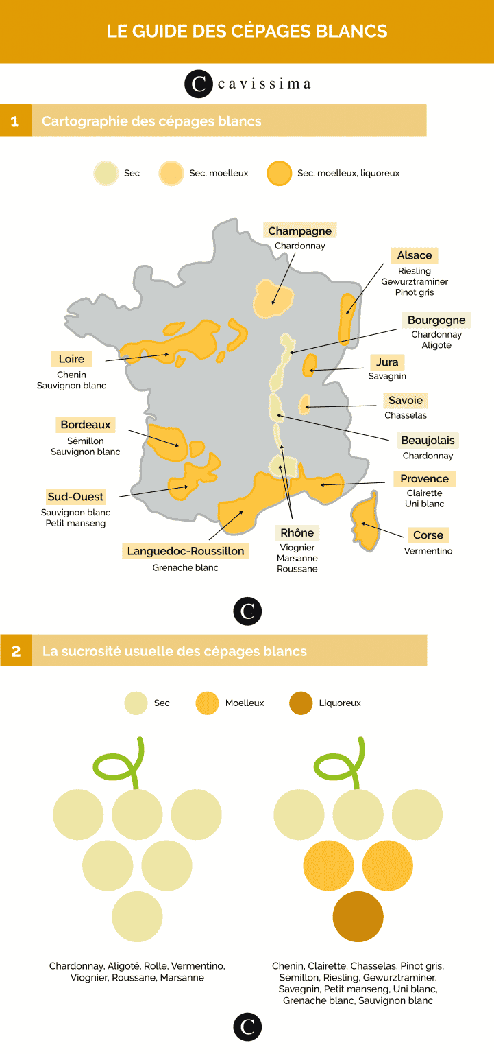 infographie cépages blancs