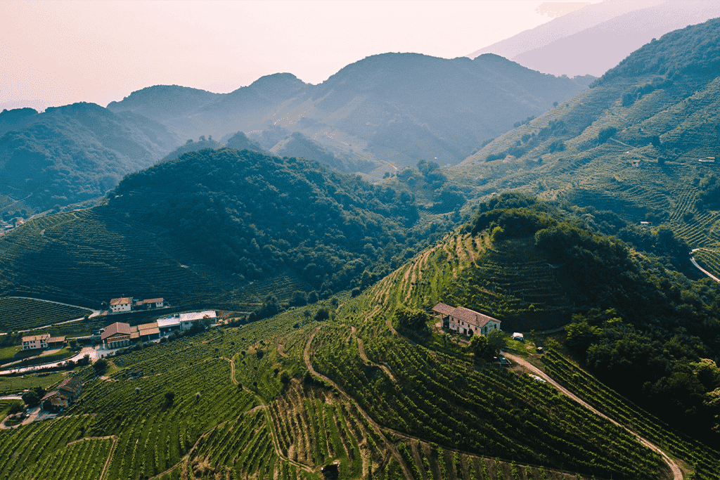 Guide des vins italiens