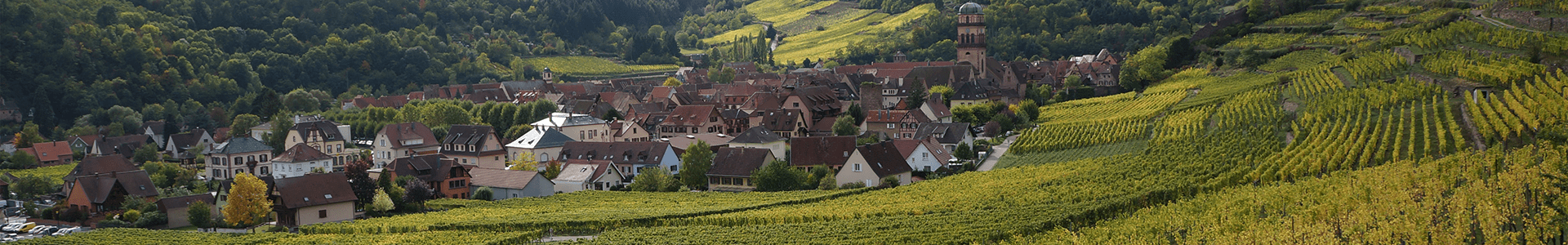 Domaine Trimbach