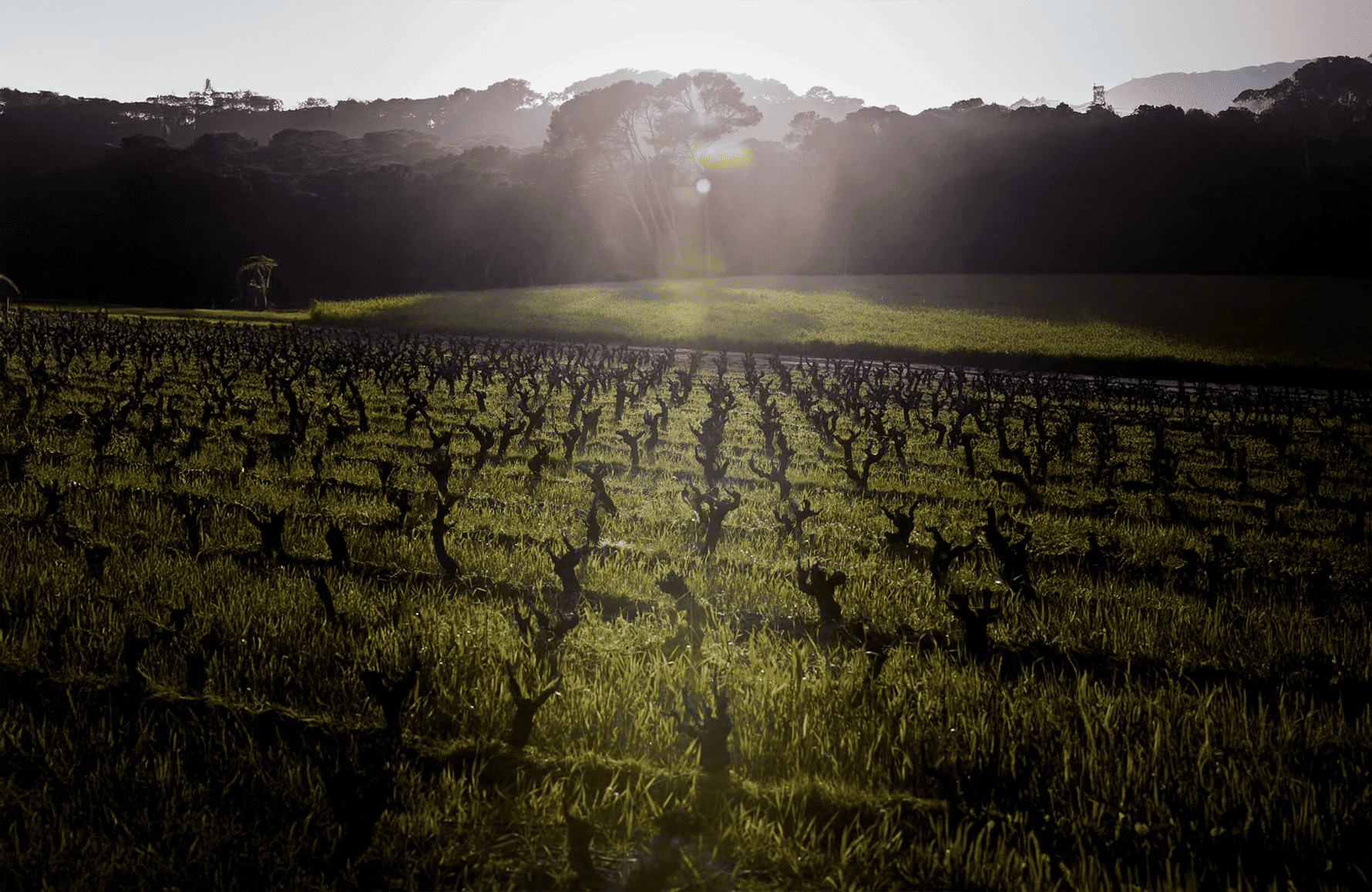 Domaine de l'île