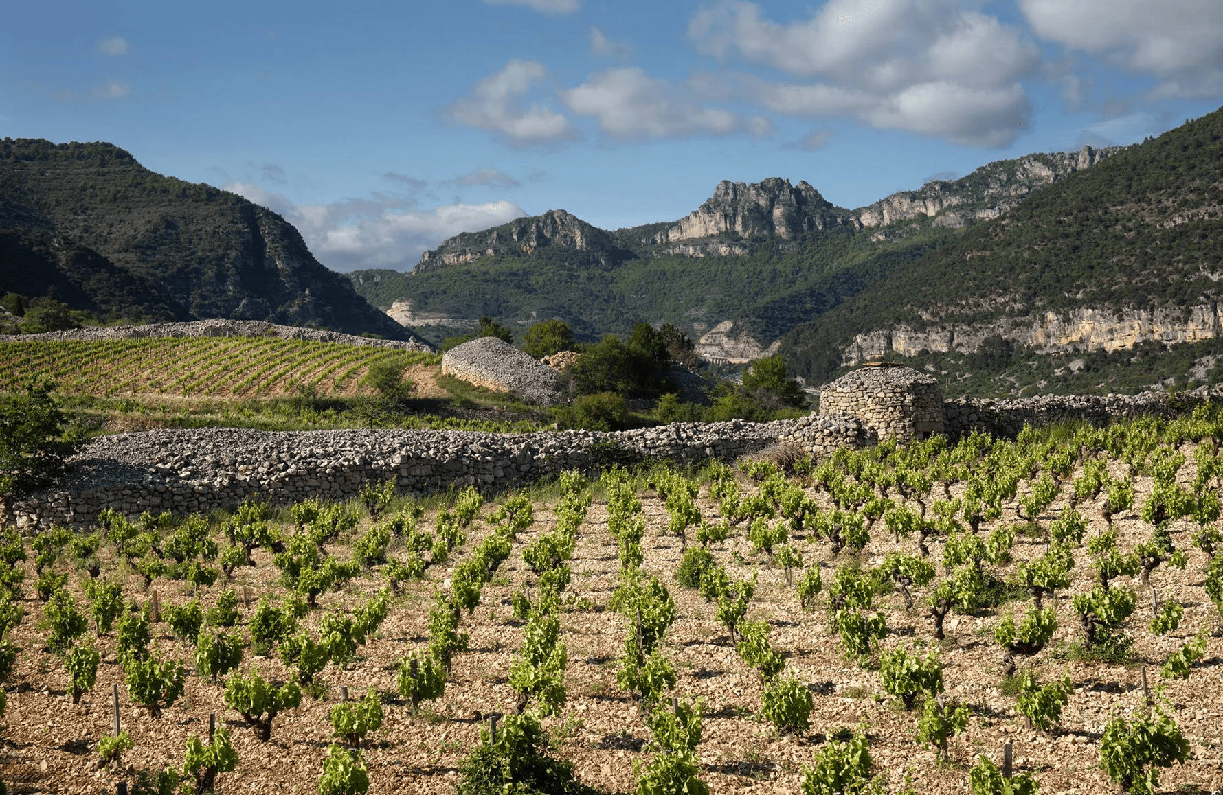 Domaine du Pas de l'Escalette