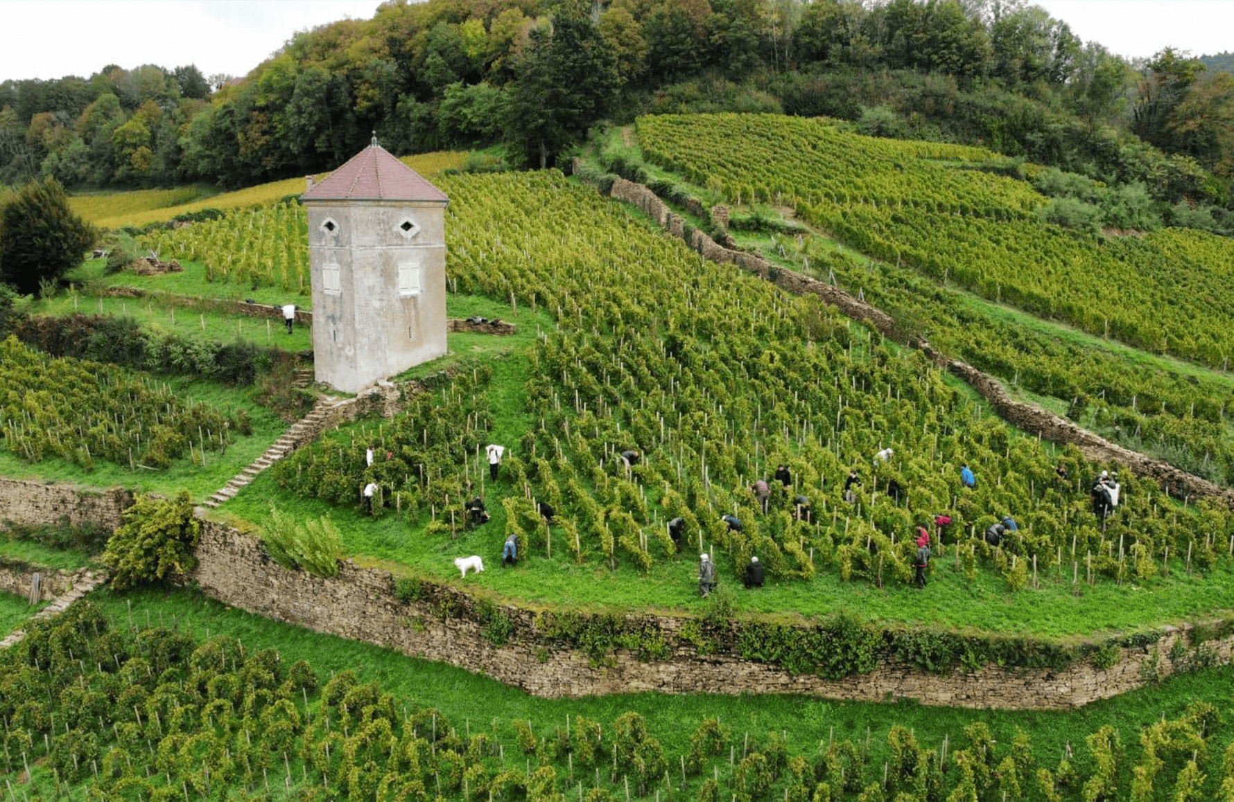 Domaine André et Mireille Tissot