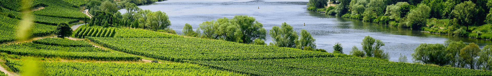 Domaine Patrick Baudouin