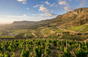 Klein Constantia - Afrique du Sud