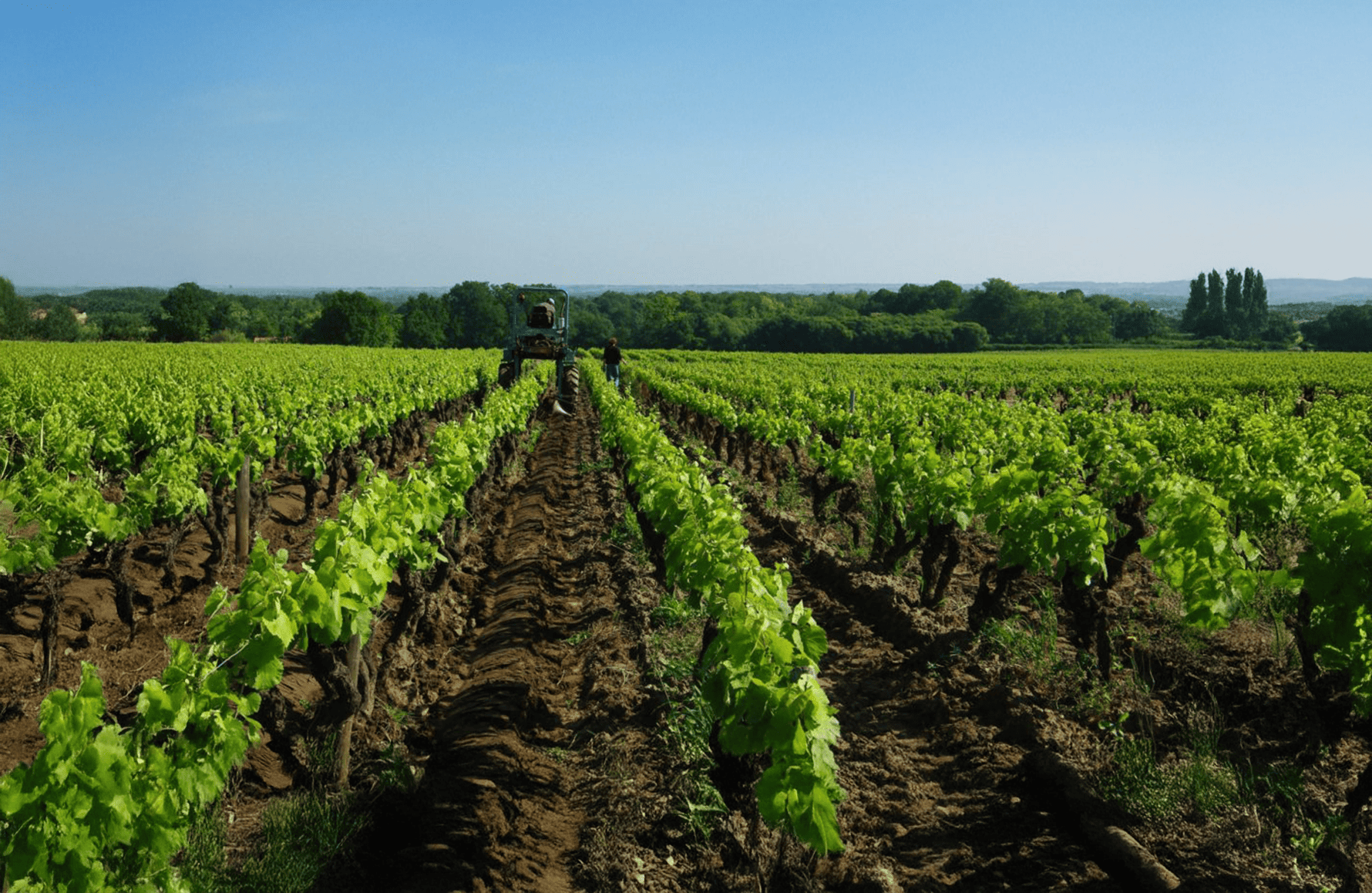 Domaine Jo Landron