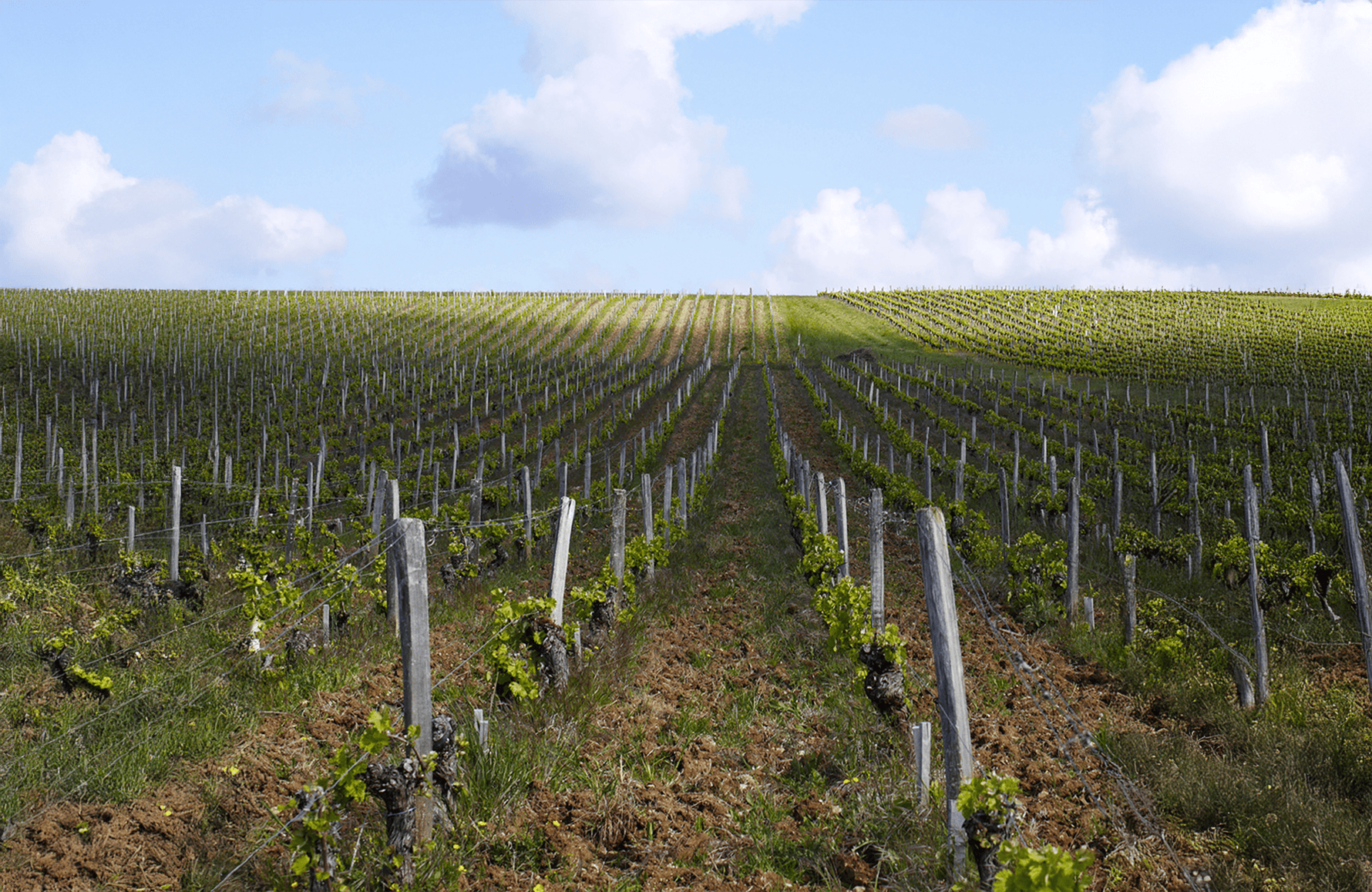 Domaine Philippe Gilbert
