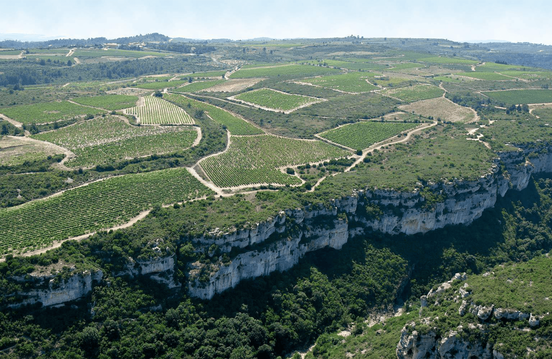 Château Coupe-Roses