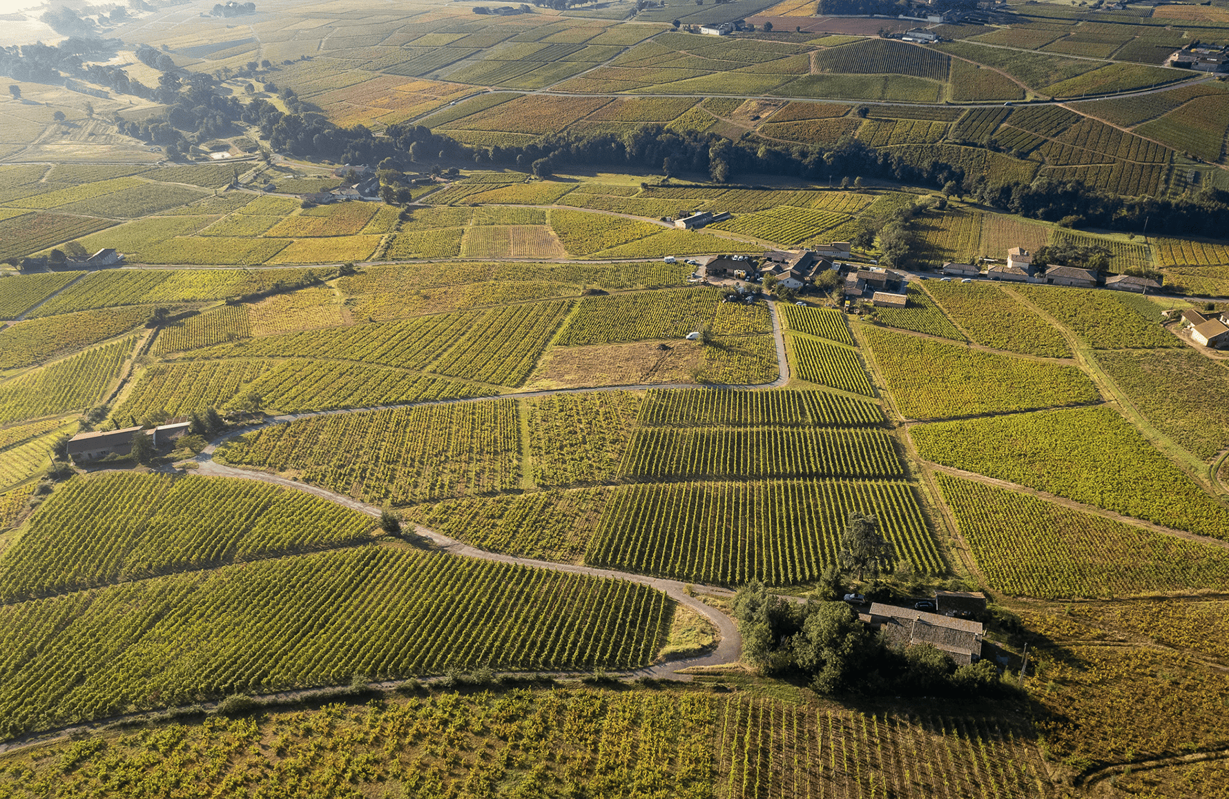 Domaine Pierre Cotton