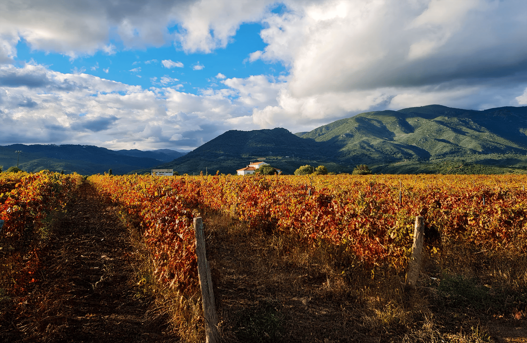 Clos Fornelli
