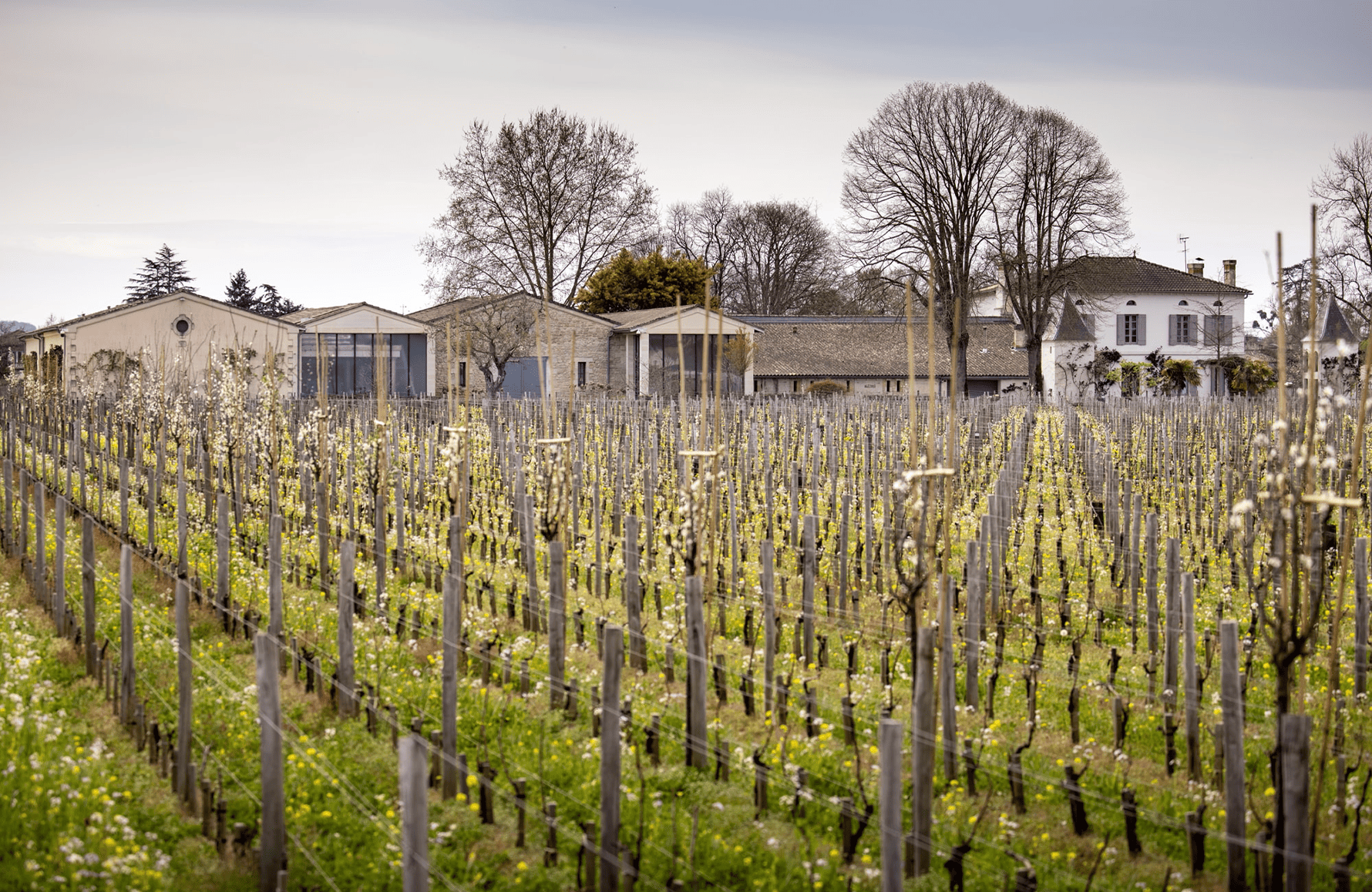 Château Quinault L'Enclos