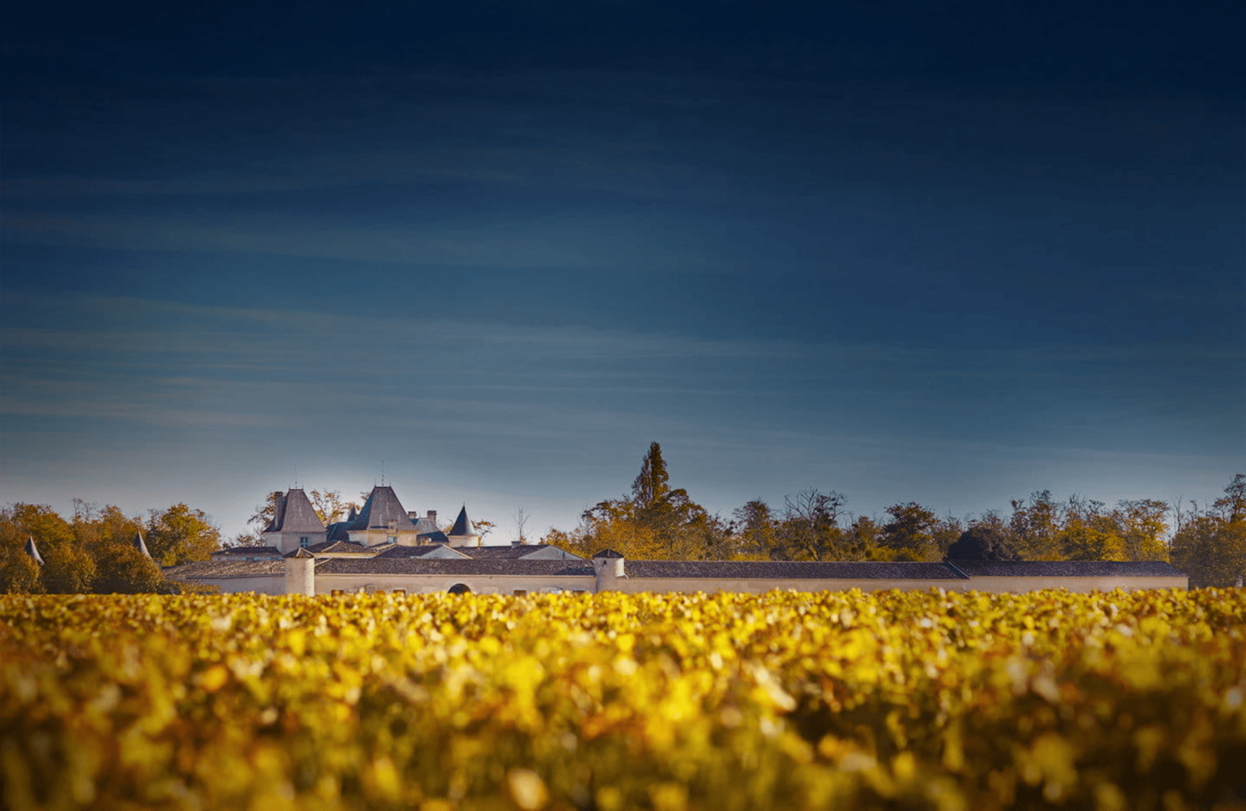 Château Suduiraut