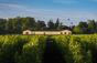 Château Brown