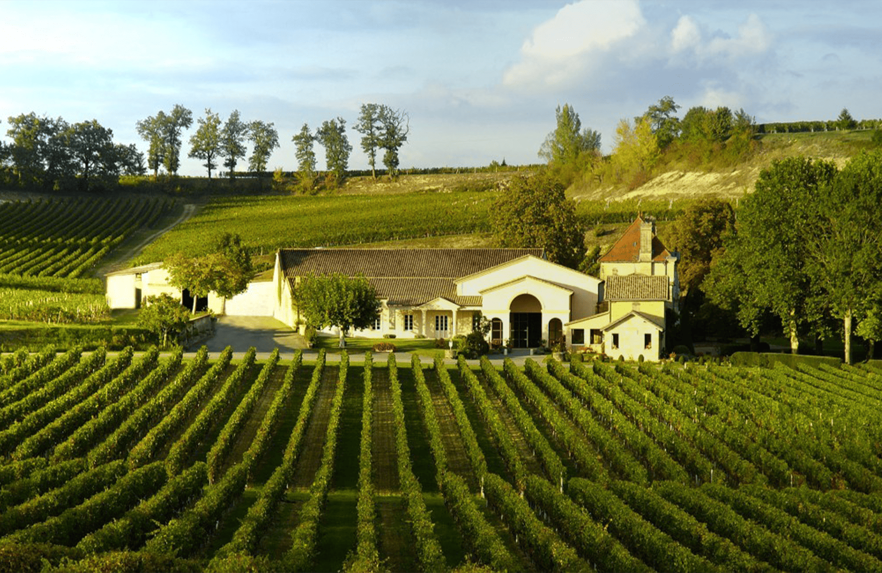 Château Mangot