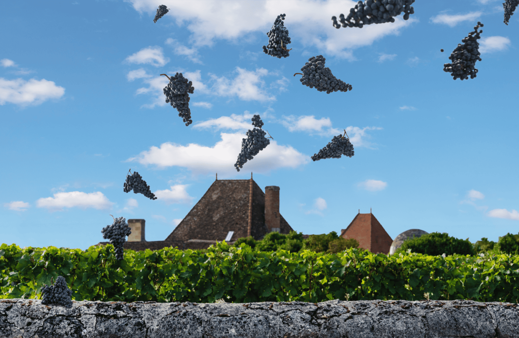 Château Bélair-Monange
