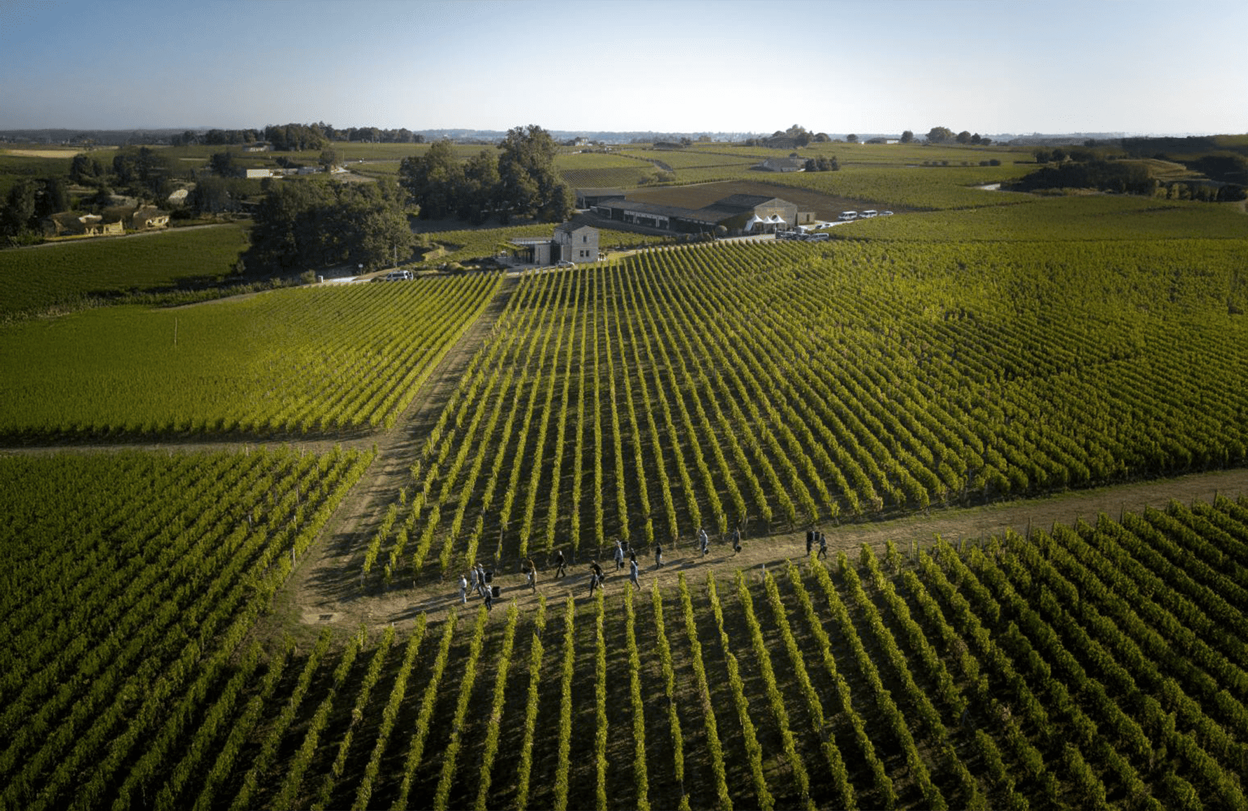 Château Pavie Macquin