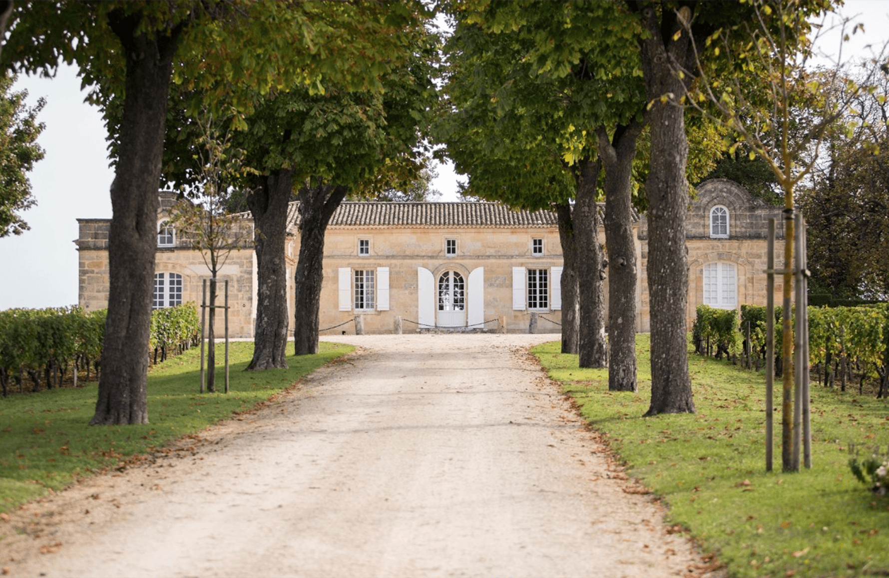 Château Trotte Vieille