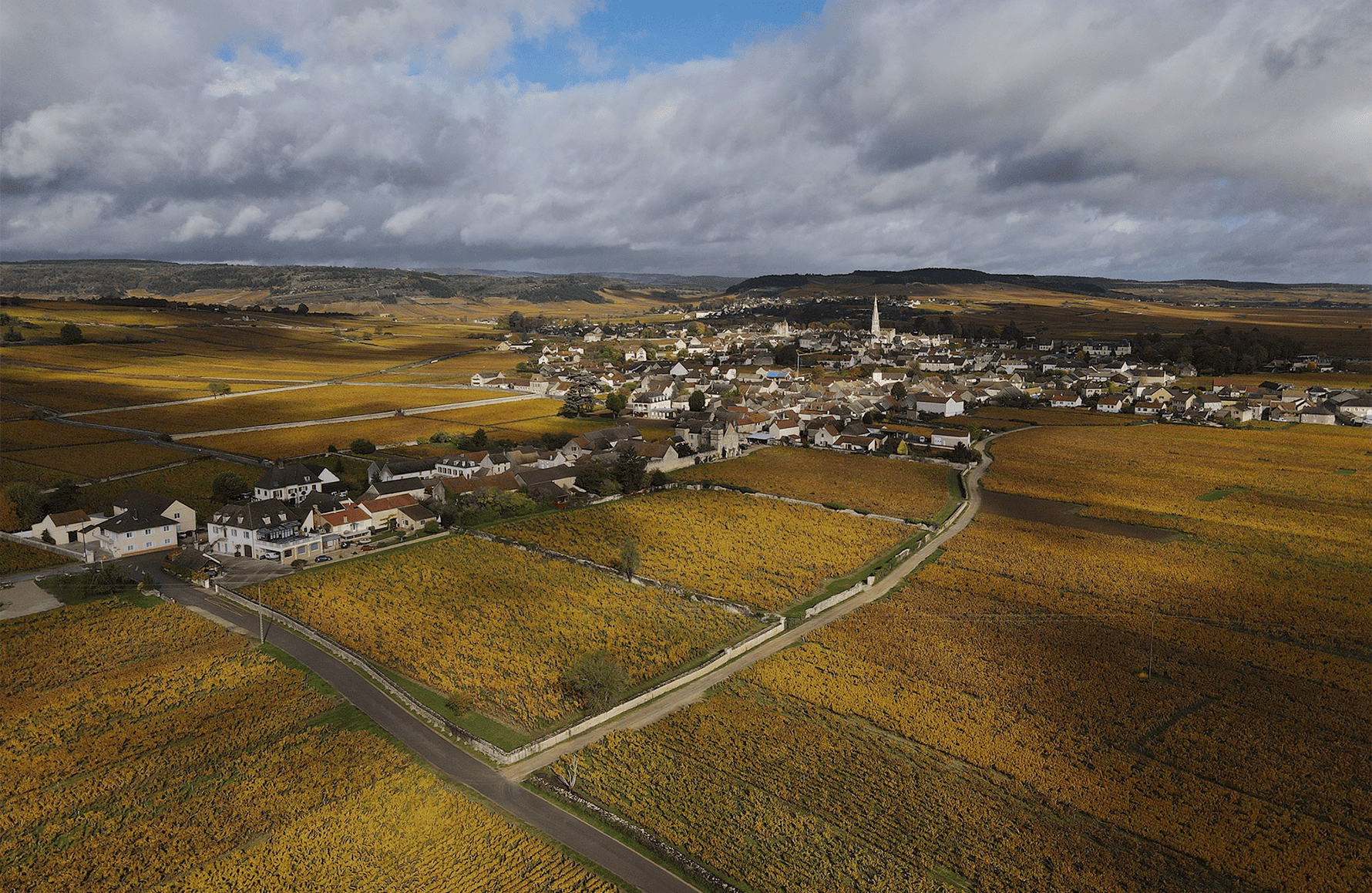 Domaine Michelot