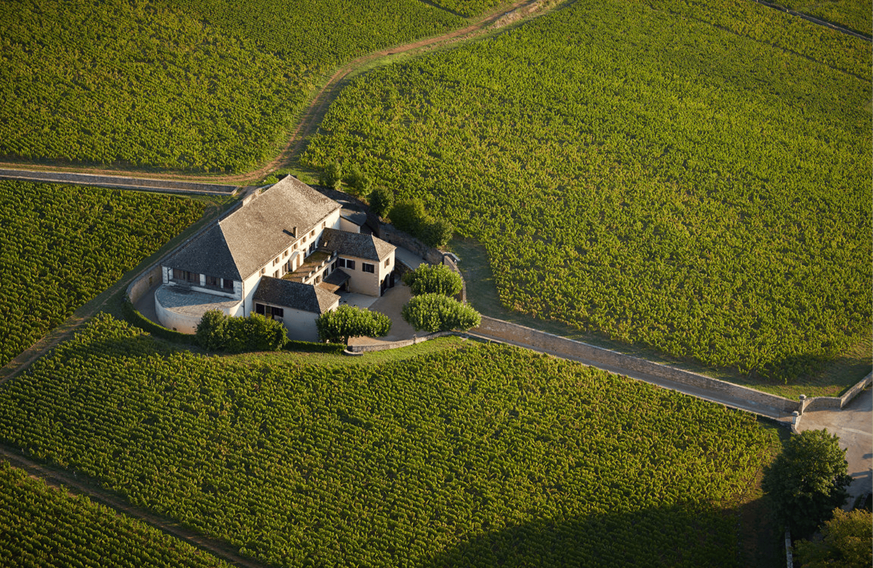 Maison Louis Latour
