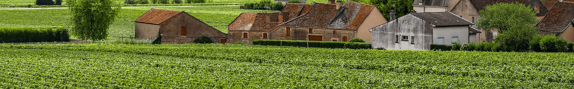 Domaine Tollot-Beaut