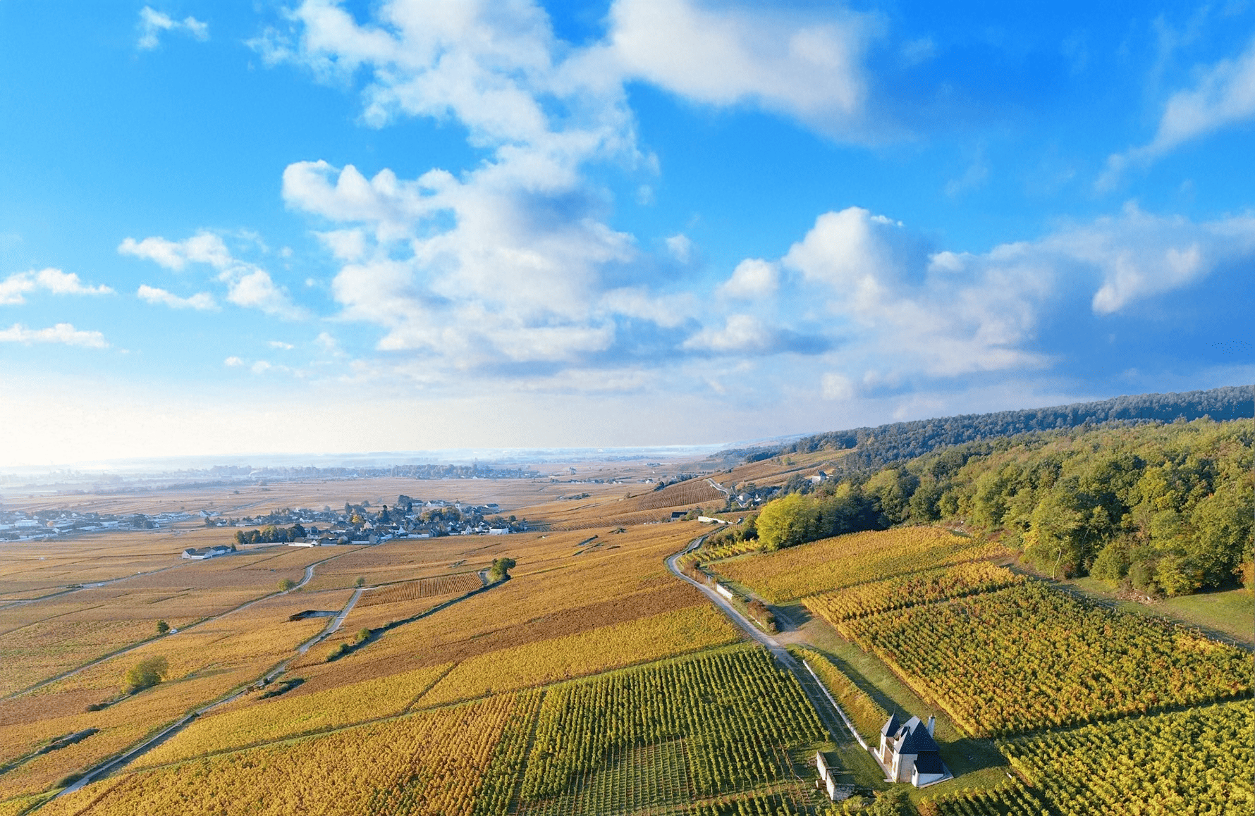 Domaine Ponsot