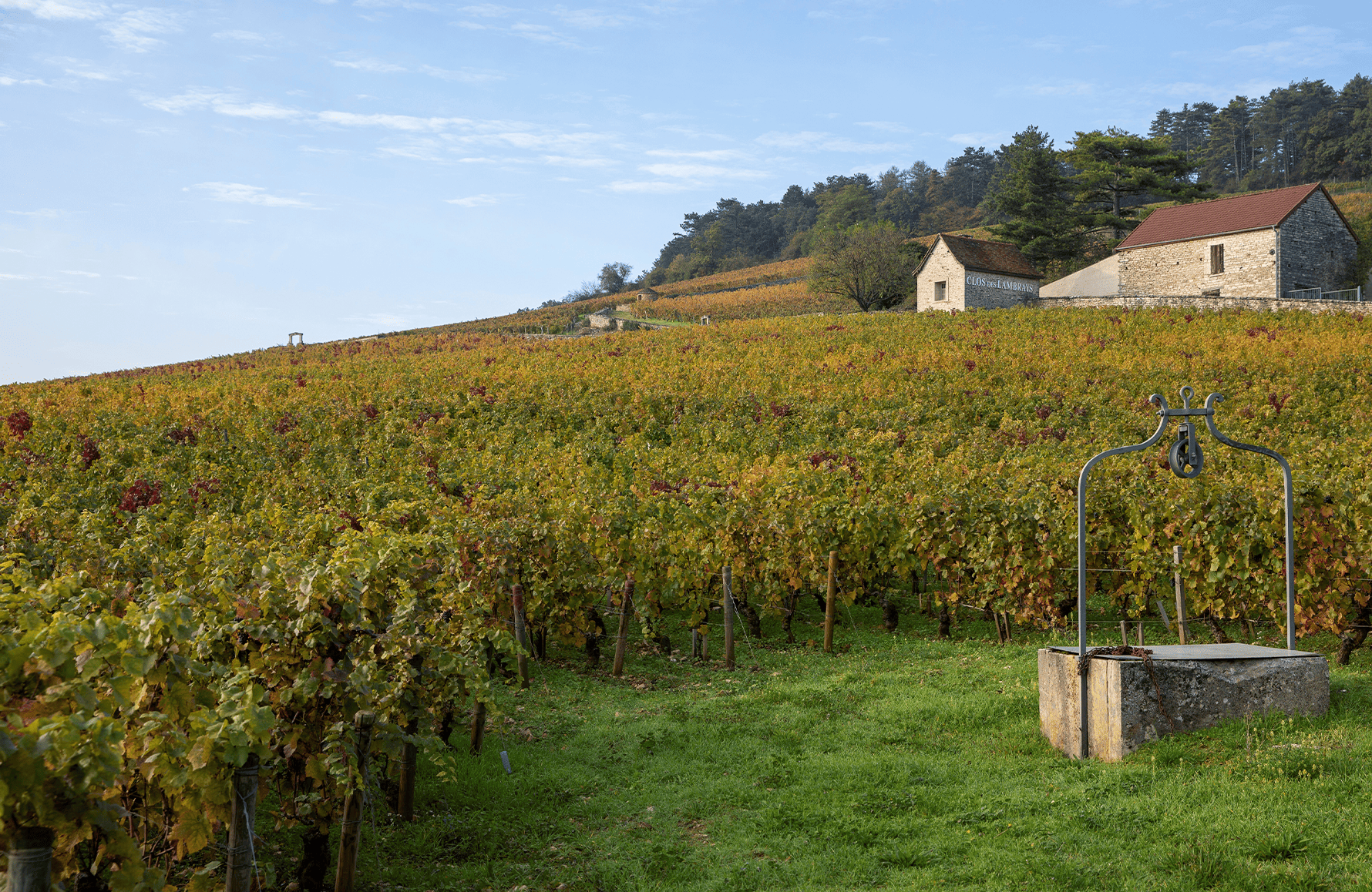 Domaine des Lambrays