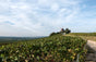 Champagne Adrien Renoir