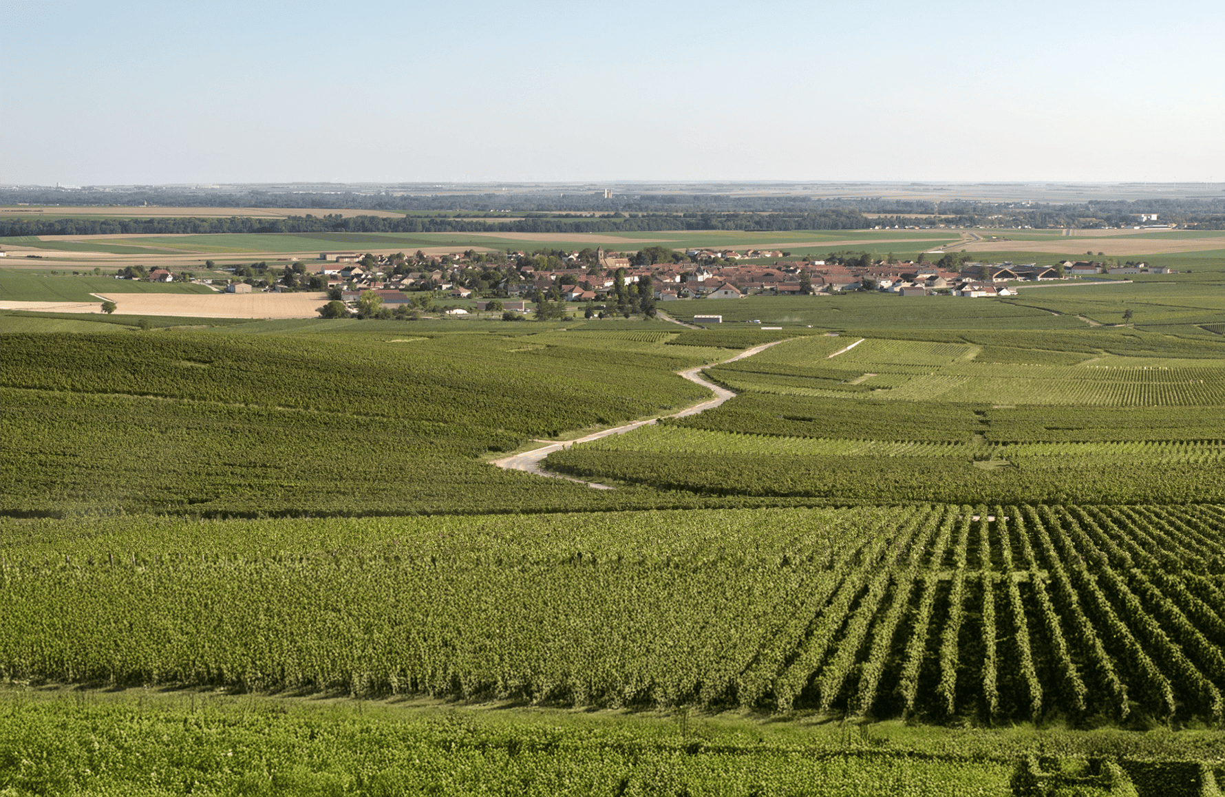 Champagne Charles Heidsieck