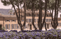 Château d'Esclans