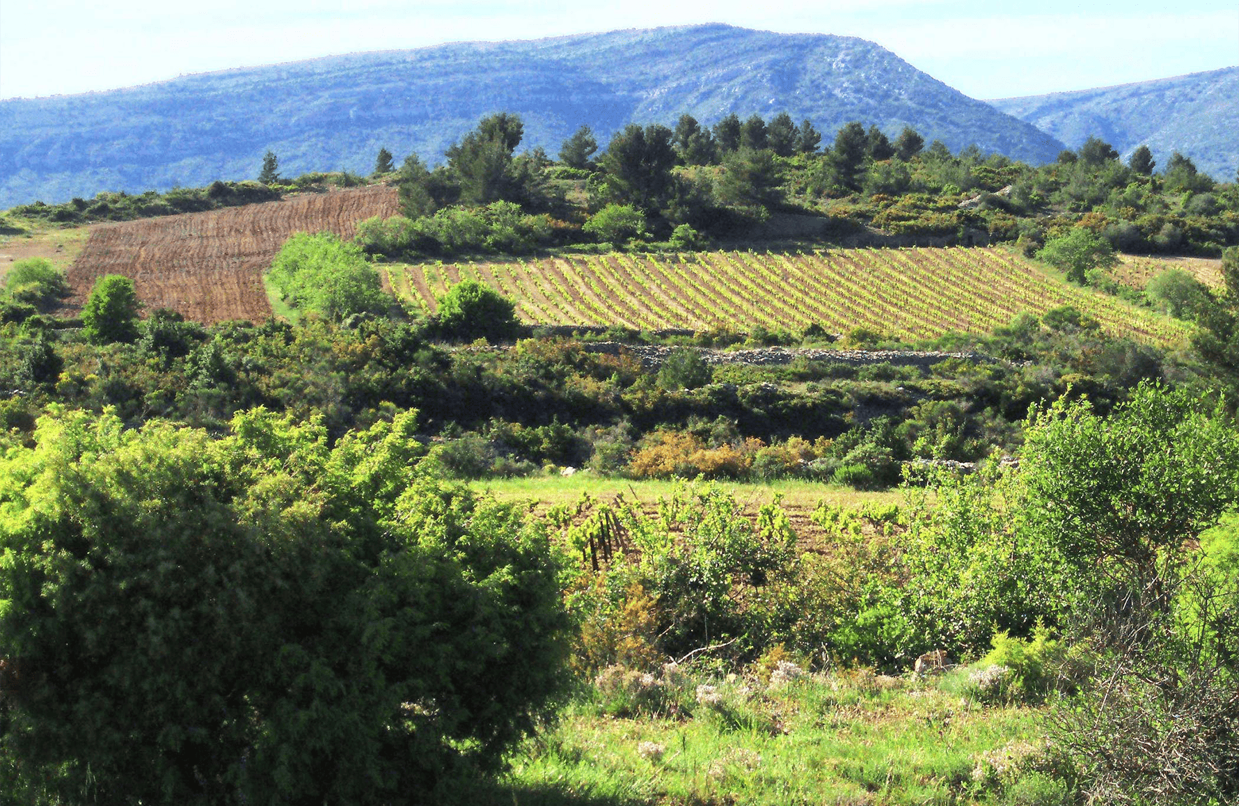 Clos de l'Anhel